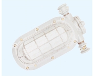 广西矿用隔爆型LED支架灯